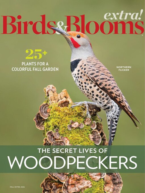 Cover image for Birds and Blooms Extra